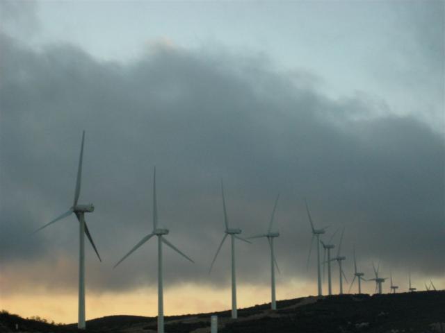 Wind mills at sunset