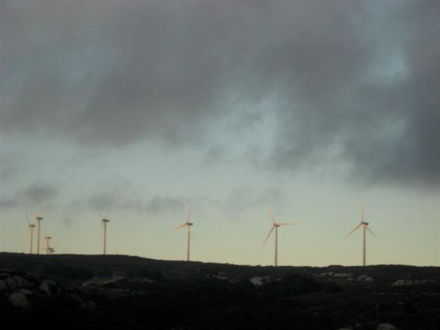 Sunset lit windmills