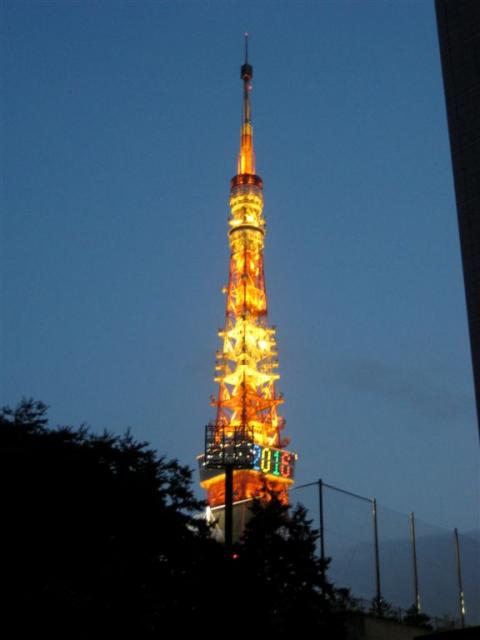 The tower lit up at dusk