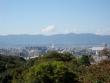 View of Kyoto and Kyoto Tower from the temple