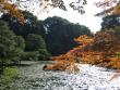 Fall colours in the Heian Shrine garden