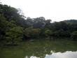 Kinkakuji Temple (Golden Pavilion) pond