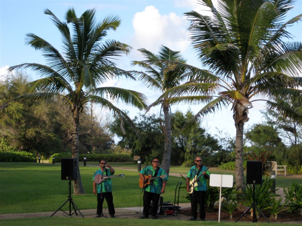 The Hawaiian band.