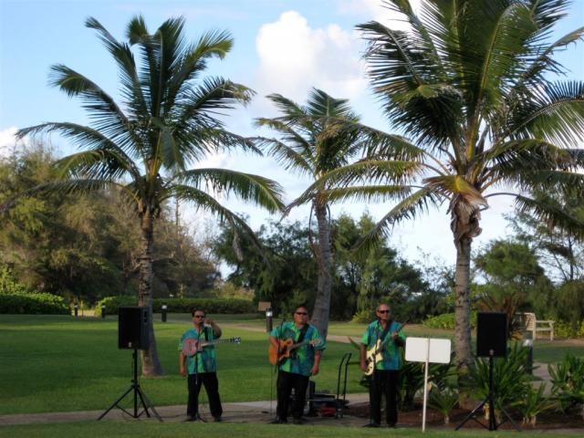 The Hawaiian band.