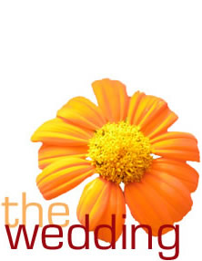The Wedding